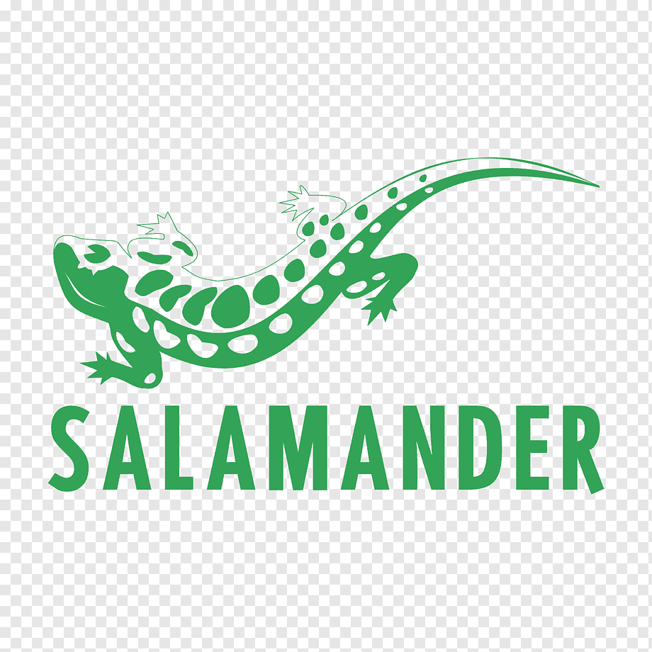Salamander